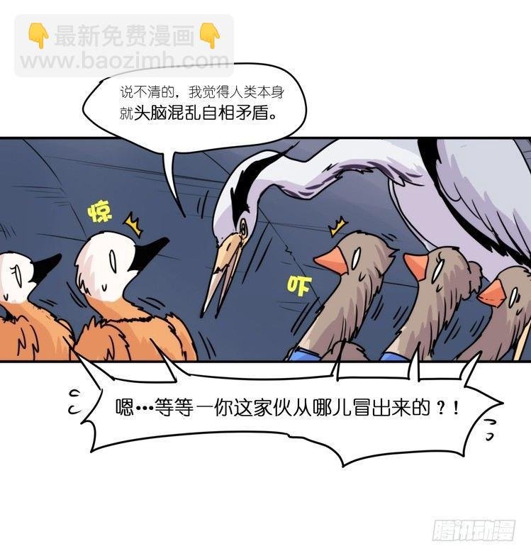 使命篇05：鸟眼看人奇