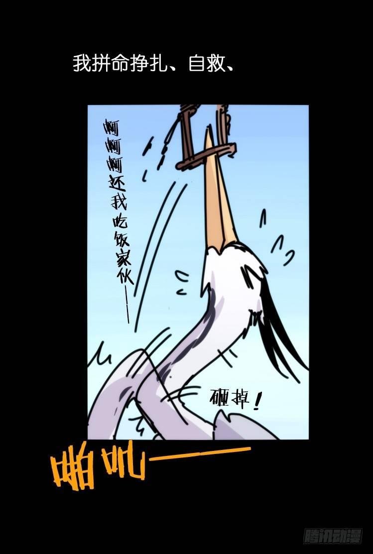 使命篇05：鸟眼看人奇
