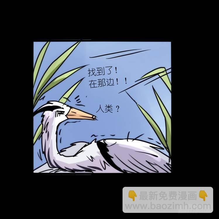 使命篇05：鸟眼看人奇
