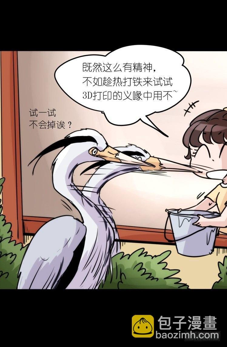 使命篇05：鸟眼看人奇