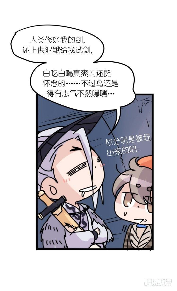 使命篇05：鸟眼看人奇