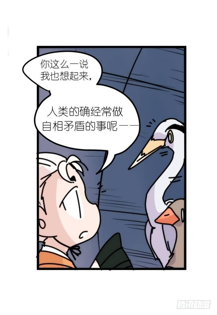 使命篇05：鸟眼看人奇