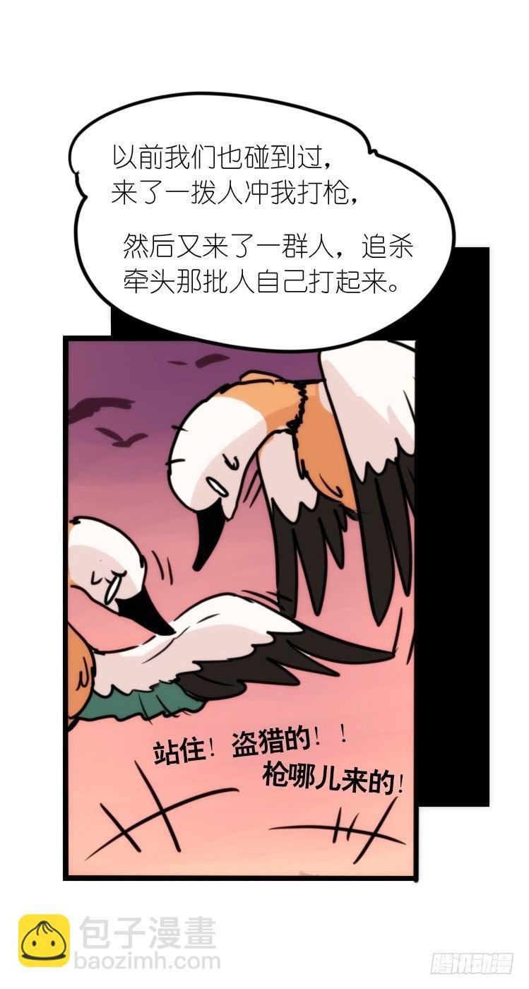 使命篇05：鸟眼看人奇