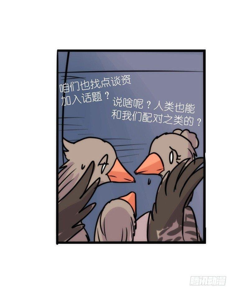 使命篇05：鸟眼看人奇