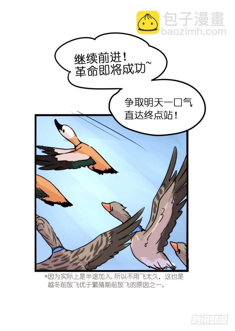 使命篇05：鸟眼看人奇