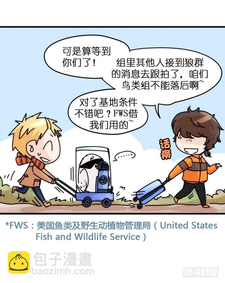 飞吧小少爷：这、这就是传说中的—