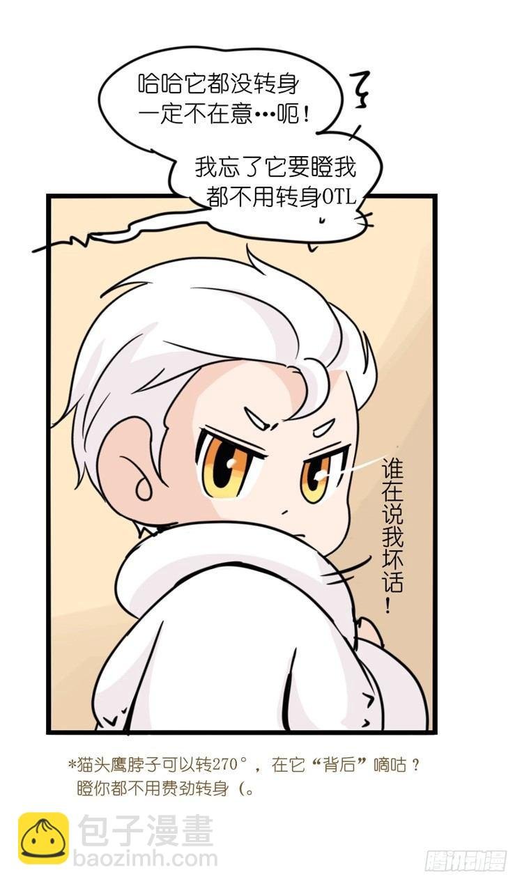 飞吧小少爷：这、这就是传说中的—