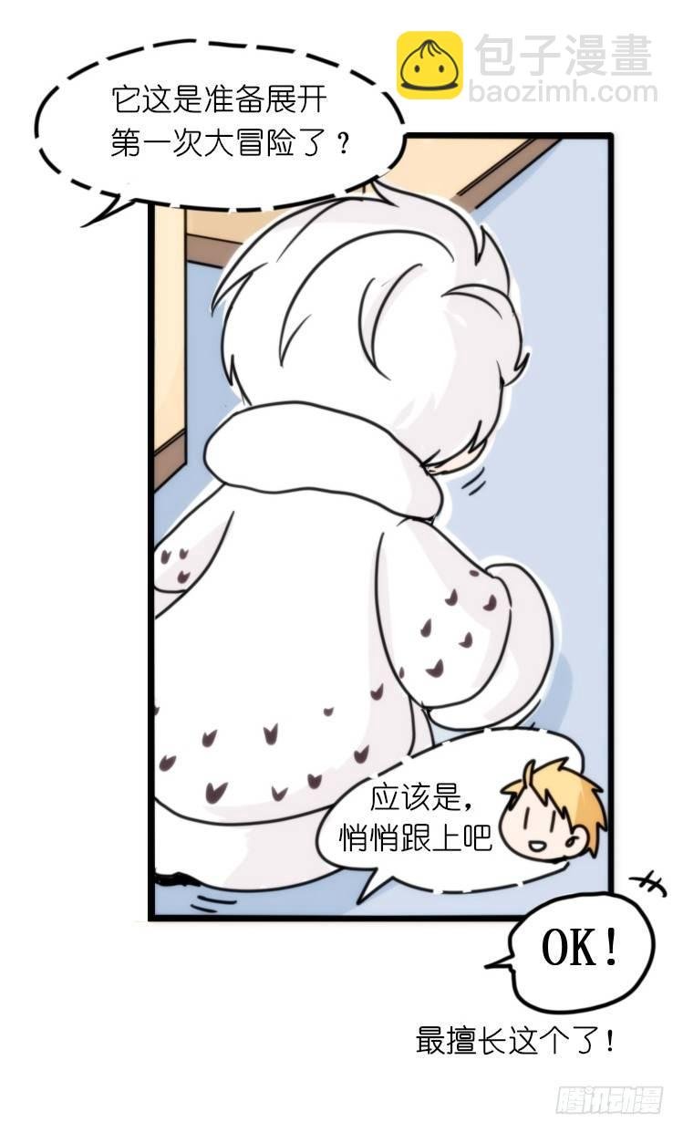 飞吧小少爷：这、这就是传说中的—