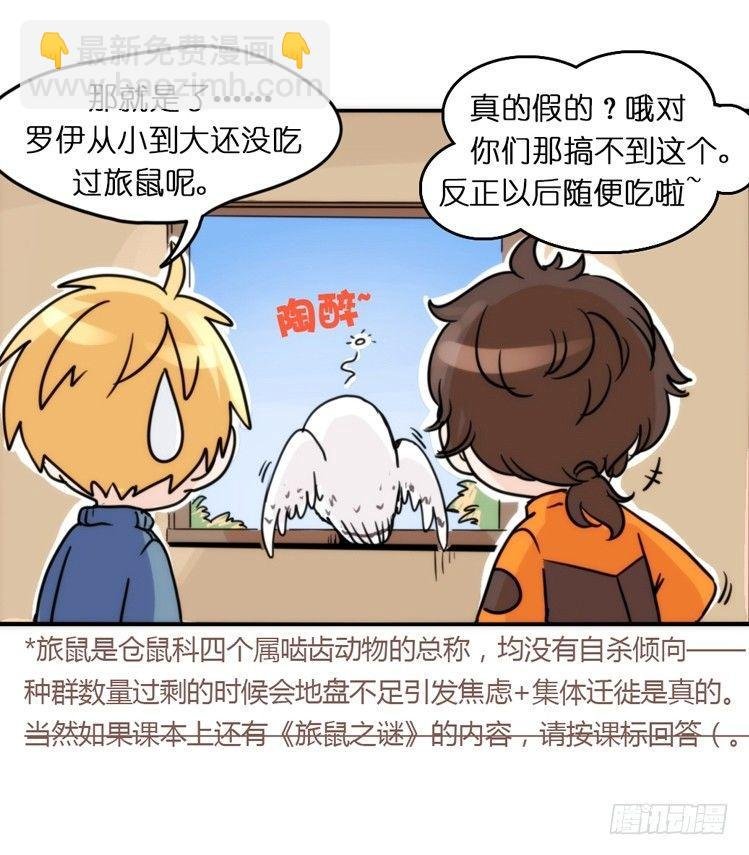 飞吧小少爷：这、这就是传说中的—