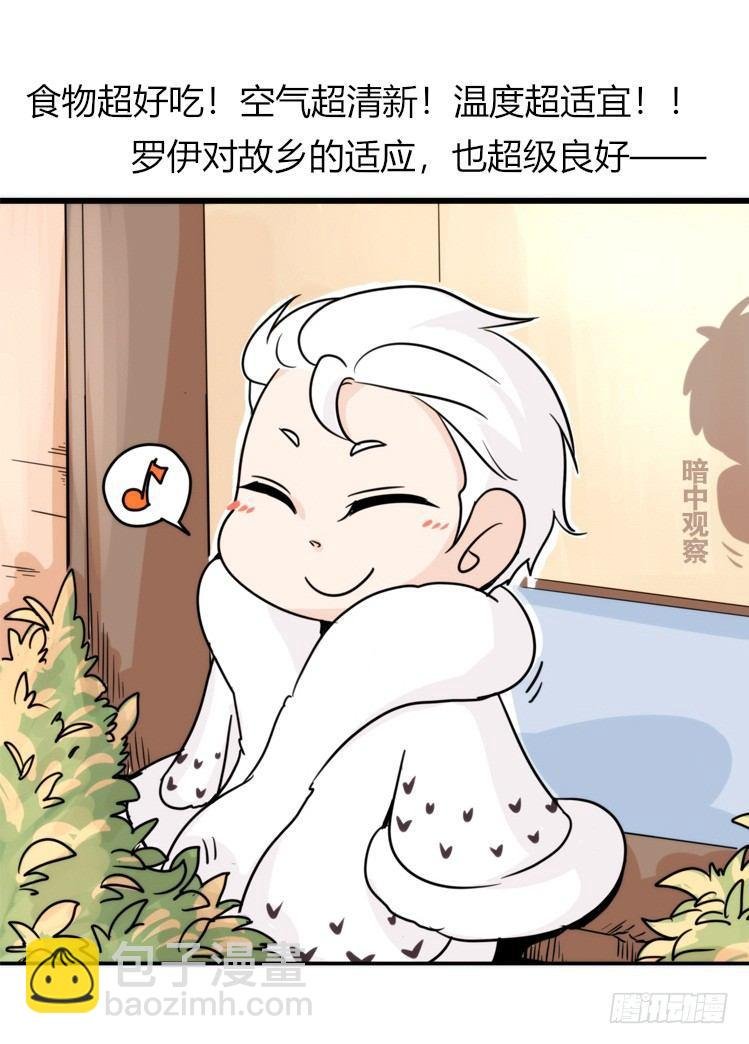飞吧小少爷：这、这就是传说中的—