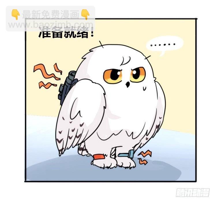 飞吧小少爷：这、这就是传说中的—