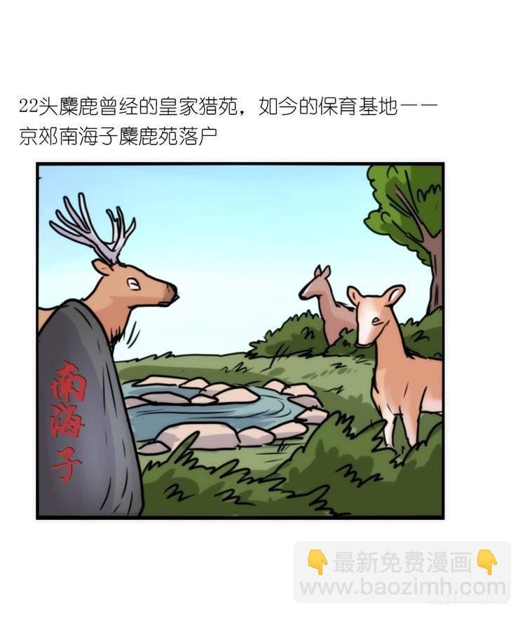 使命篇07：漫漫归乡路