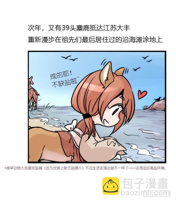 使命篇07：漫漫归乡路