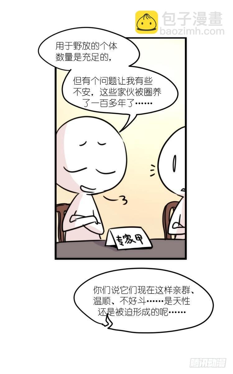 使命篇07：漫漫归乡路