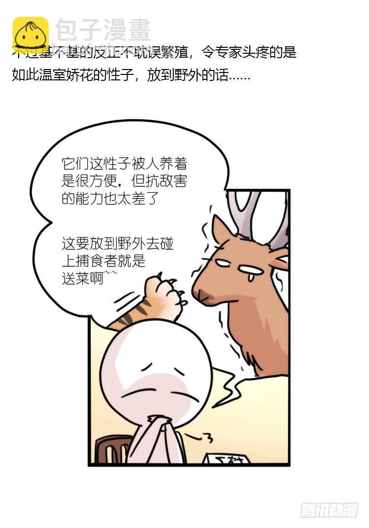 使命篇07：漫漫归乡路