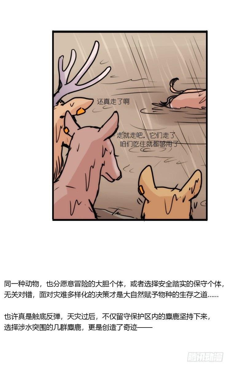 使命篇07：漫漫归乡路