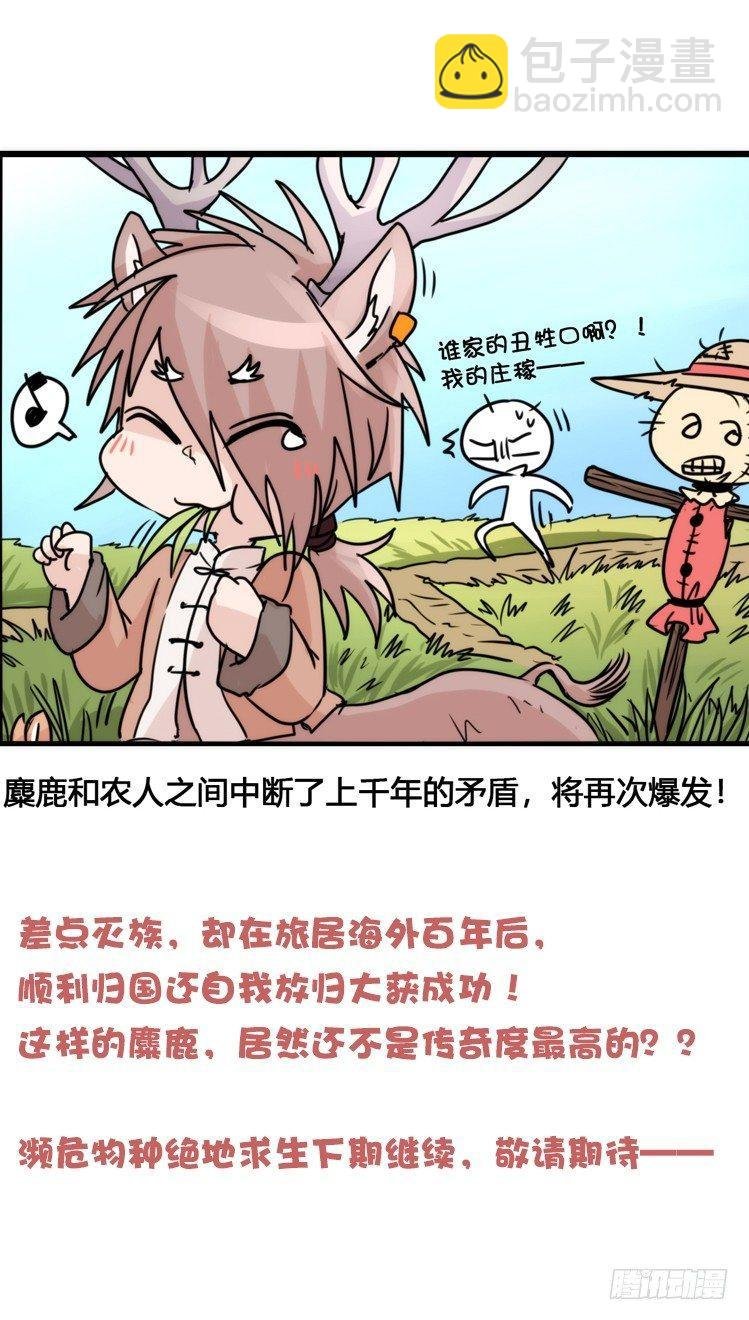 使命篇07：漫漫归乡路
