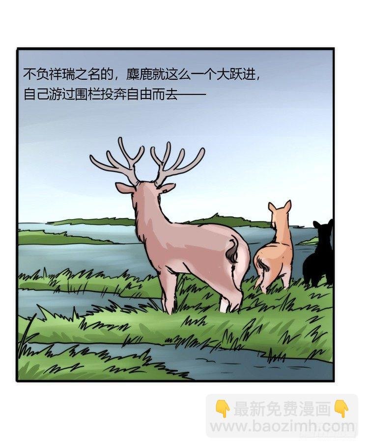 使命篇08：会笑运气不会差①