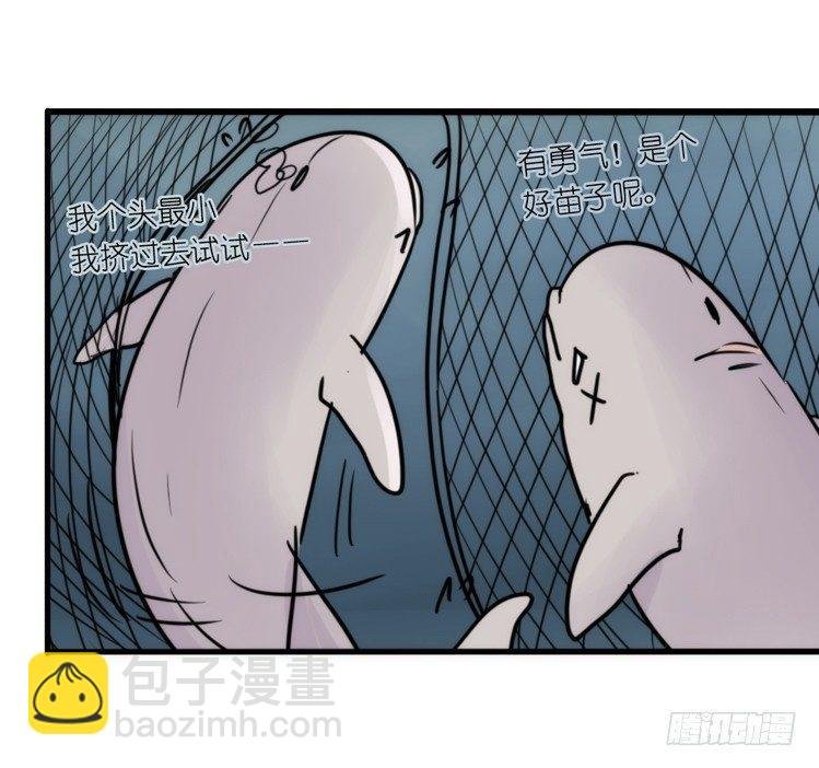 使命篇11：会笑运气不会差④