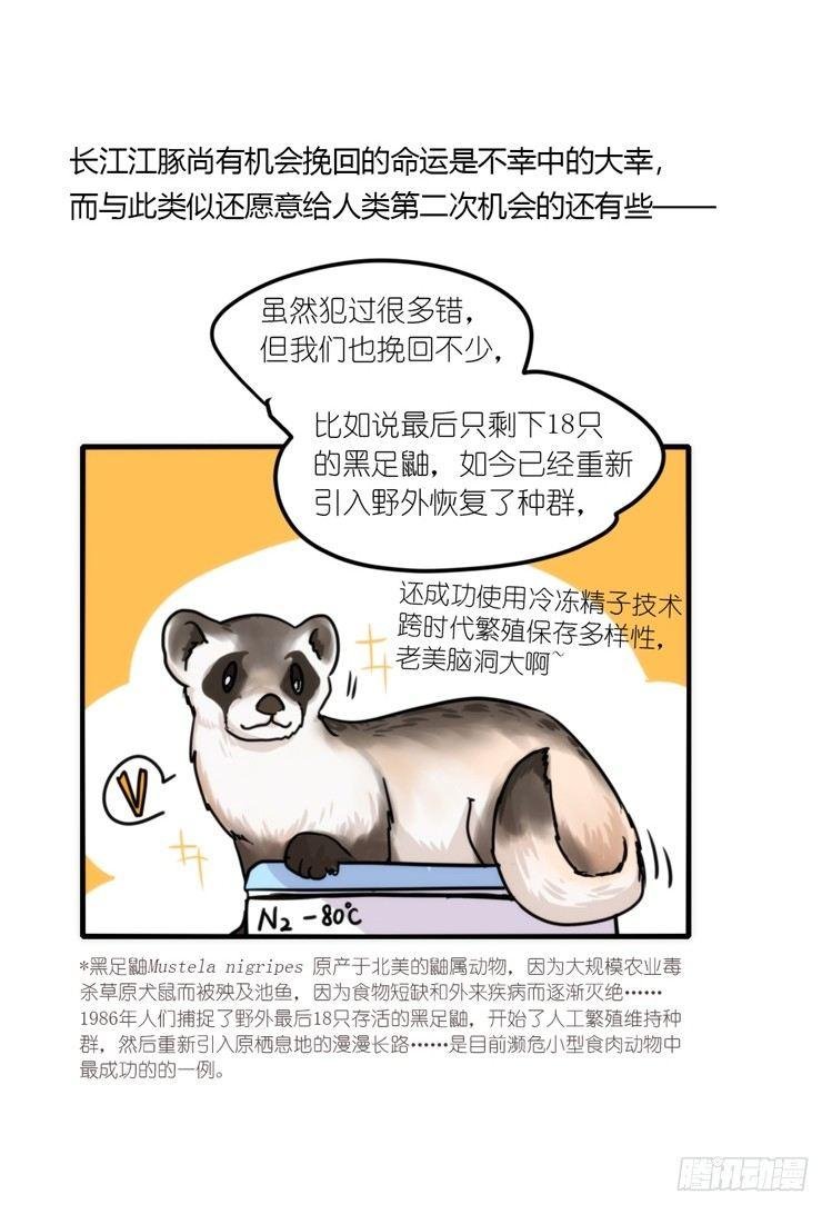 使命篇12：现在进行时