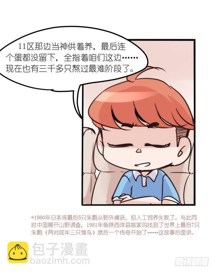 使命篇12：现在进行时