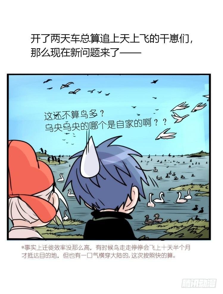 使命篇12：现在进行时