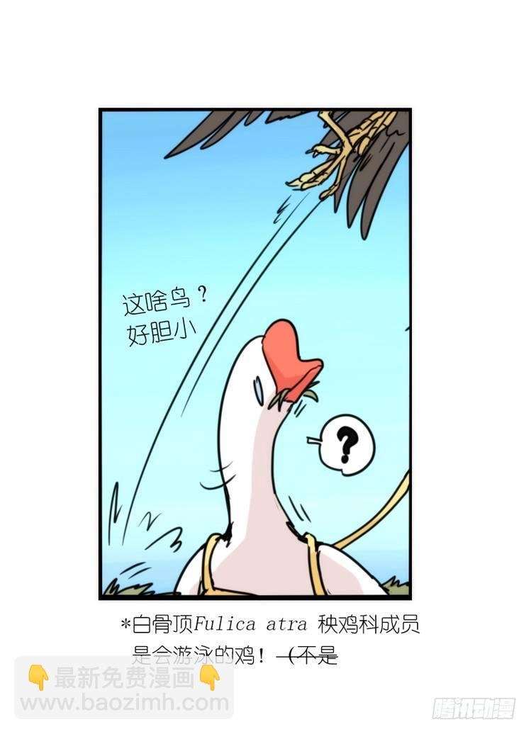 使命篇12：现在进行时