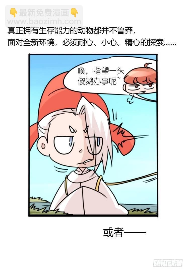 使命篇12：现在进行时