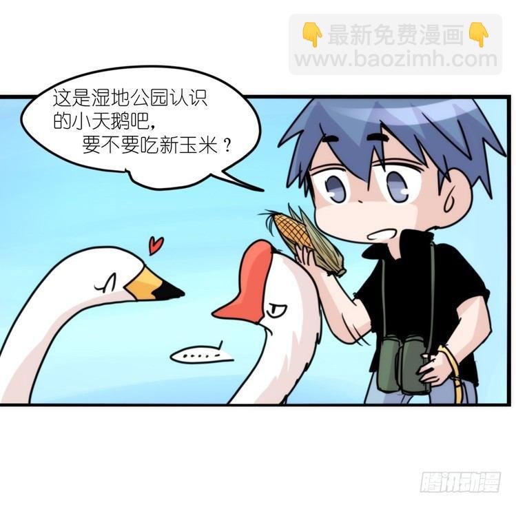 使命篇12：现在进行时