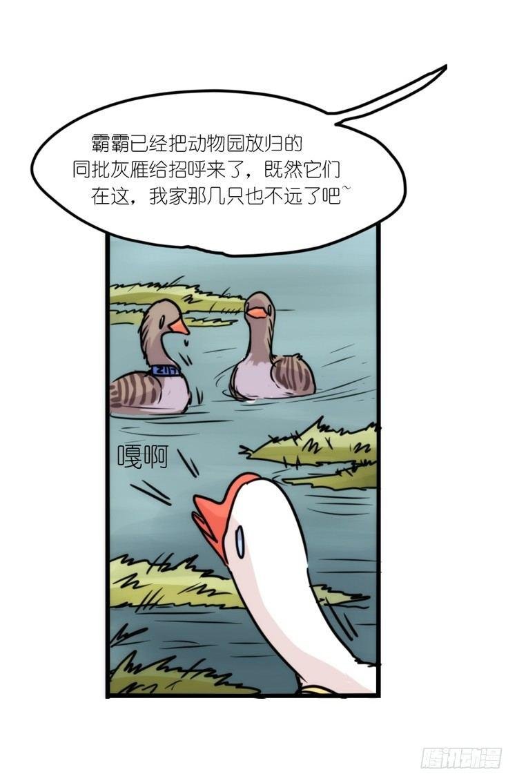 使命篇12：现在进行时