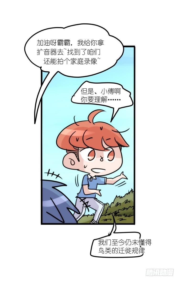使命篇12：现在进行时