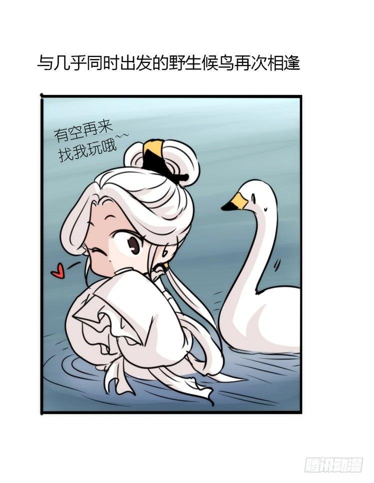 使命篇13：新手专属幸运光环