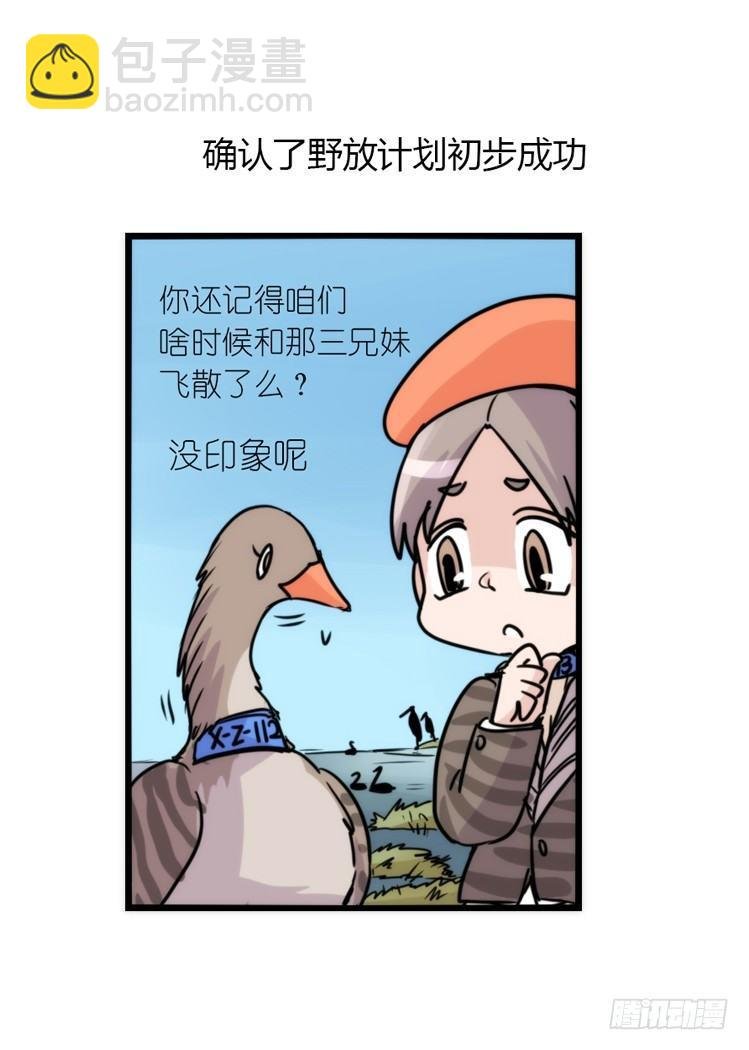 使命篇13：新手专属幸运光环