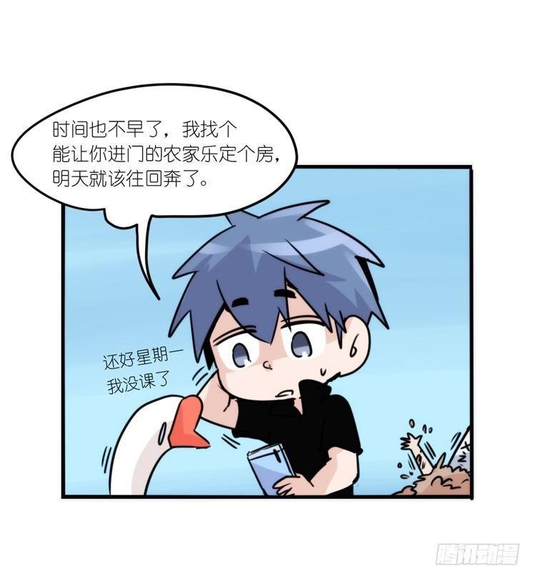使命篇13：新手专属幸运光环