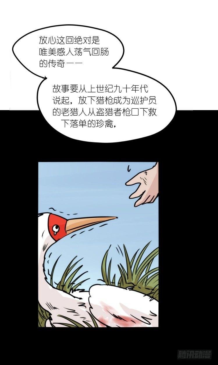使命篇13：新手专属幸运光环