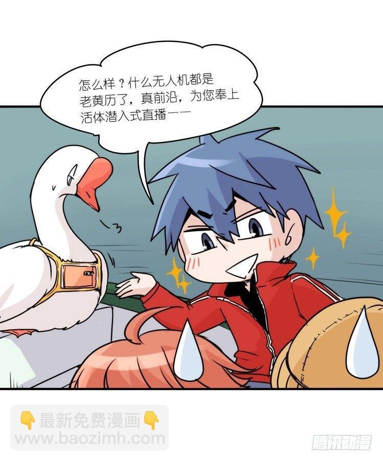使命篇14：科学观鸟法