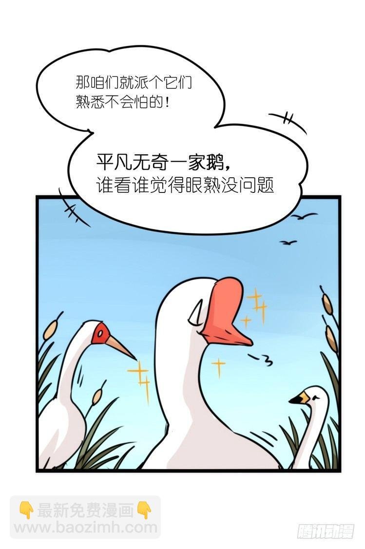 使命篇14：科学观鸟法