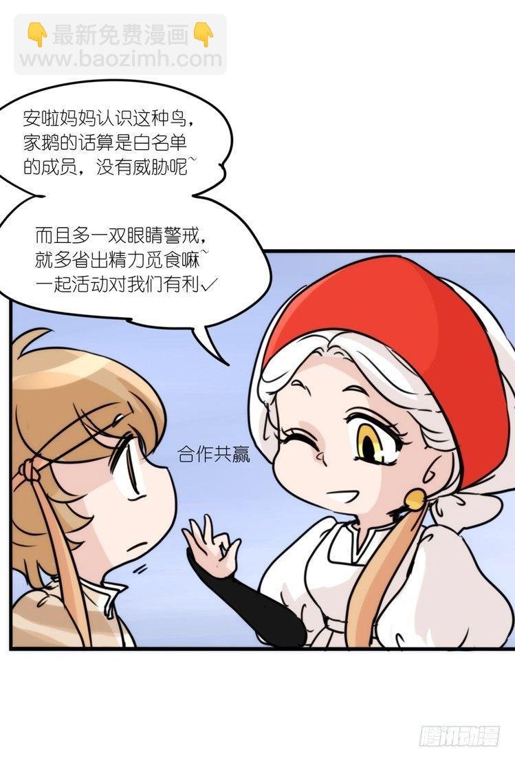 使命篇14：科学观鸟法