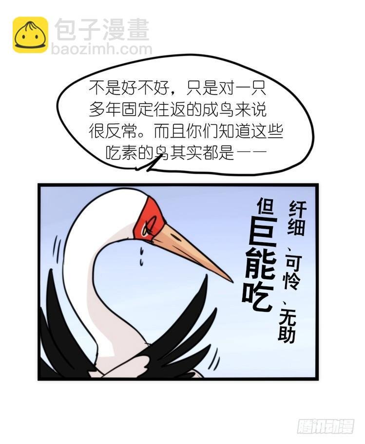 使命篇14：科学观鸟法