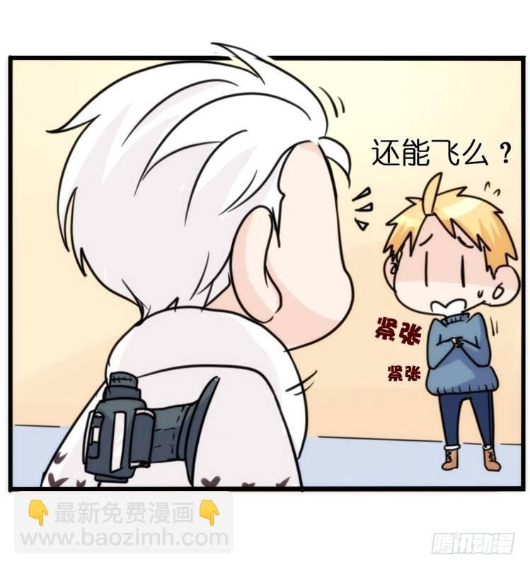 飞吧小少爷：赌上猛禽的尊严！