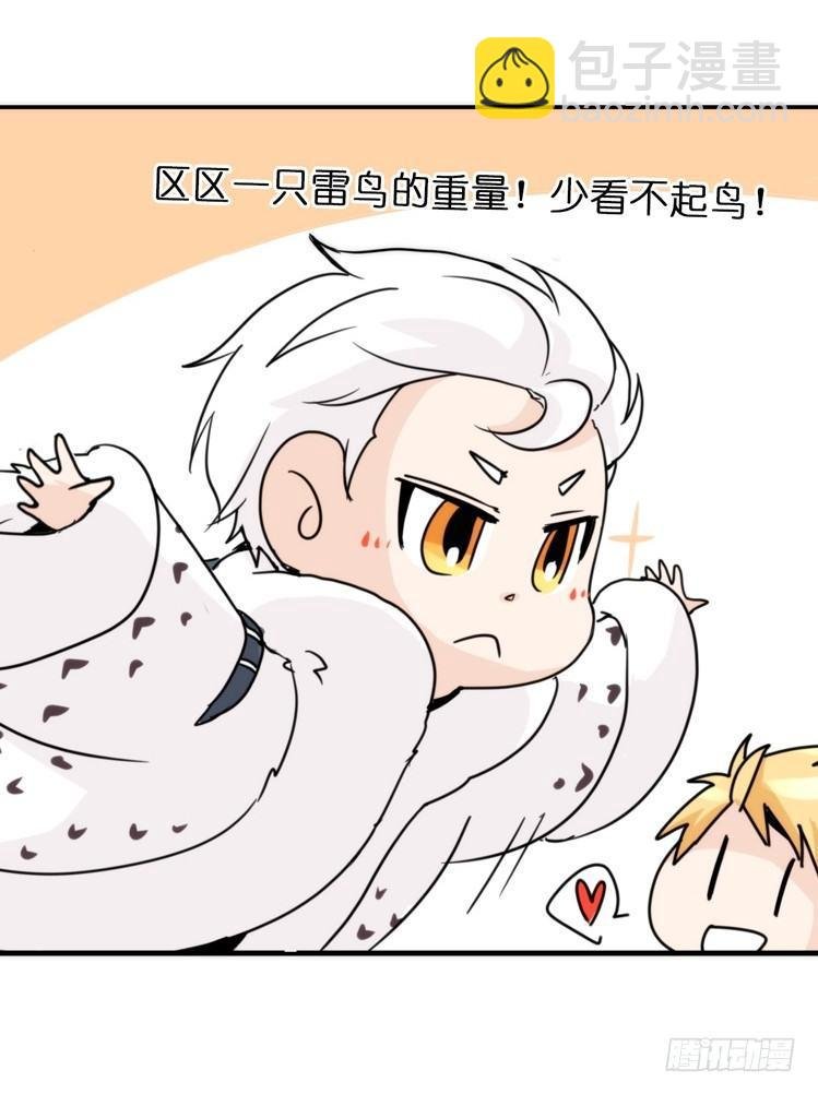 飞吧小少爷：赌上猛禽的尊严！
