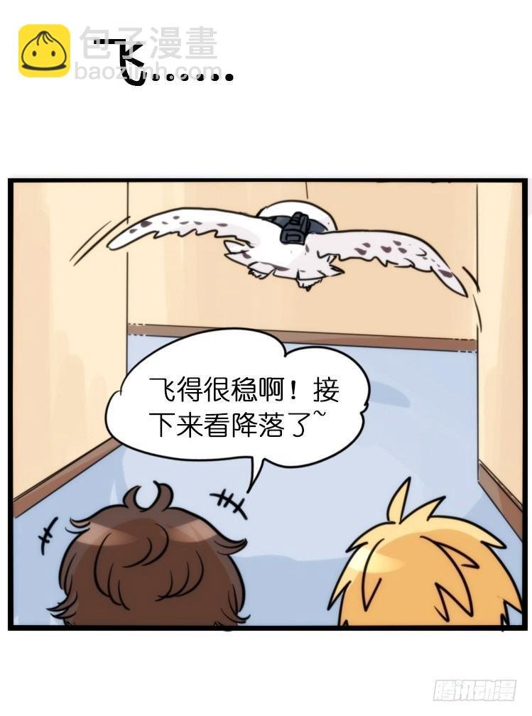飞吧小少爷：赌上猛禽的尊严！