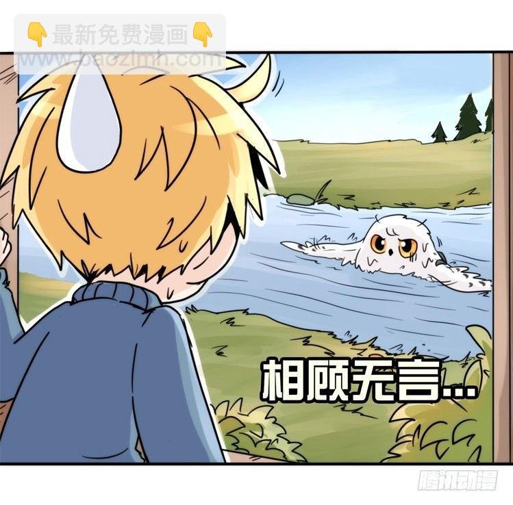 飞吧小少爷：赌上猛禽的尊严！