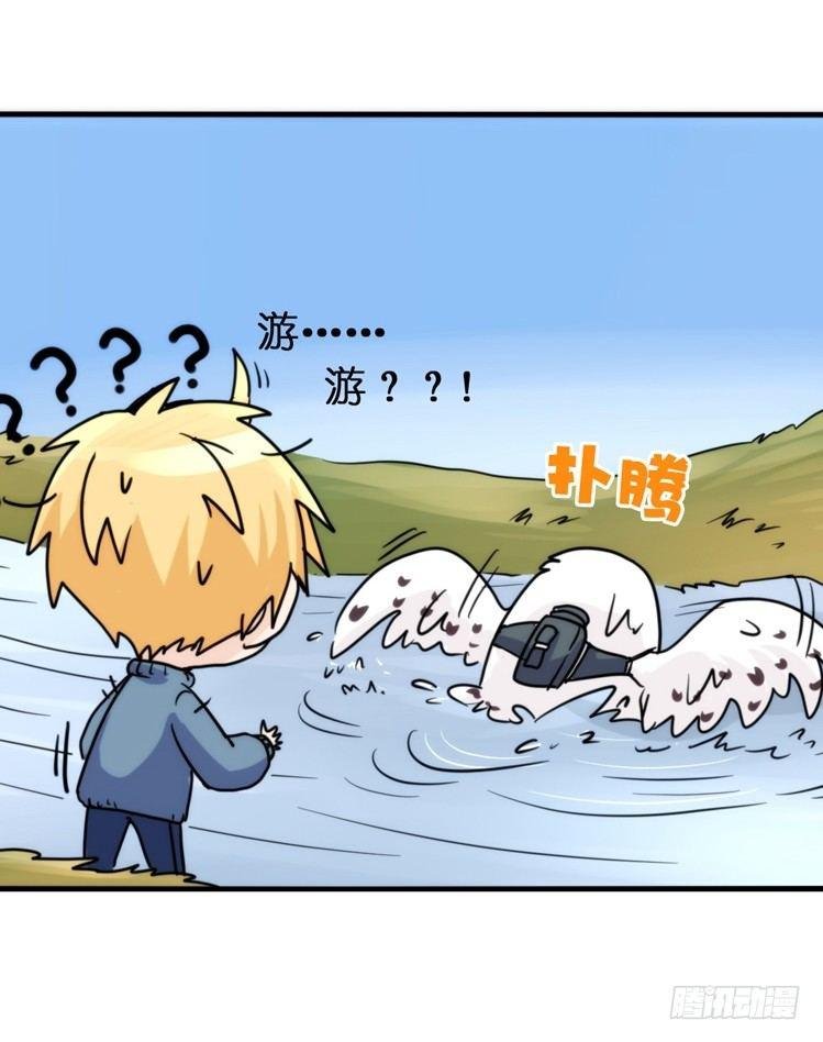 飞吧小少爷：赌上猛禽的尊严！