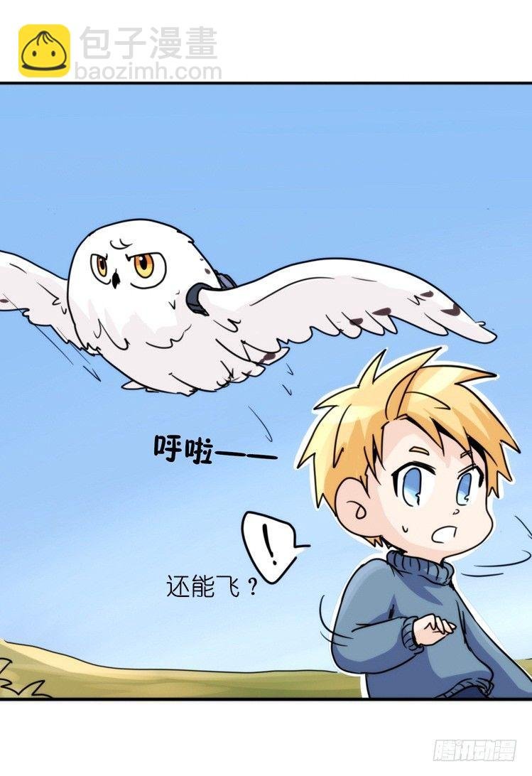 飞吧小少爷：赌上猛禽的尊严！