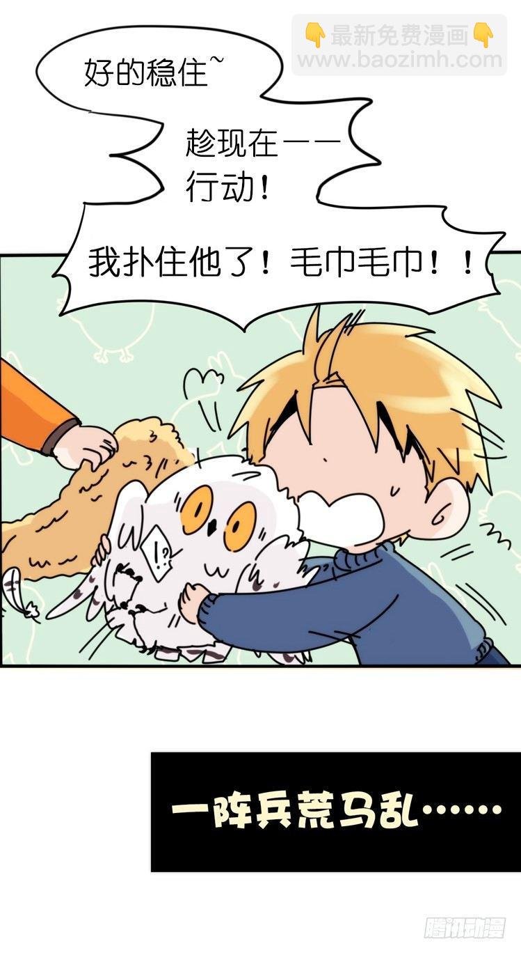 飞吧小少爷：赌上猛禽的尊严！