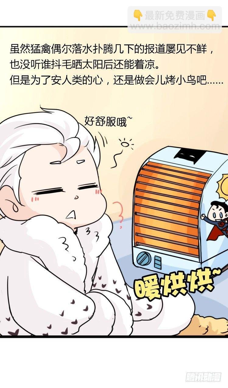 飞吧小少爷：赌上猛禽的尊严！