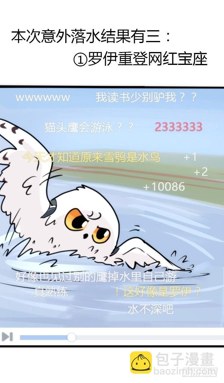 飞吧小少爷：赌上猛禽的尊严！