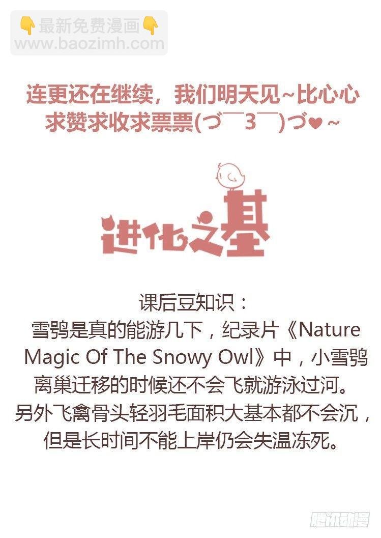 飞吧小少爷：赌上猛禽的尊严！