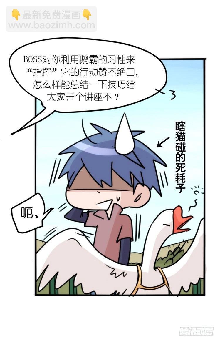 使命篇16：萌物们的新工作？